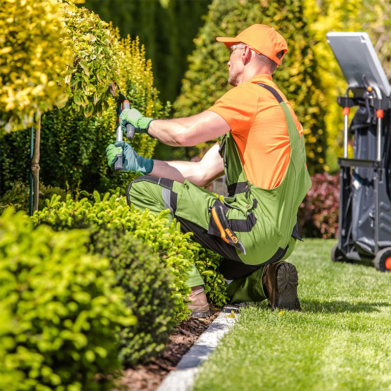 Landscaping & Grounds Maintenance